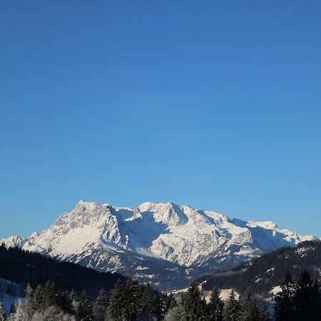 Haus Brandstatter Διαμέρισμα Eben Im Pongau Εξωτερικό φωτογραφία