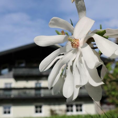 Haus Brandstatter Διαμέρισμα Eben Im Pongau Εξωτερικό φωτογραφία